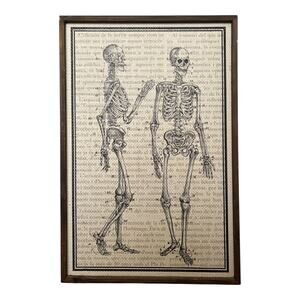 Vintage Style Anatomy Skeleton Art Print Framed Wall Decor 16x24